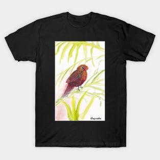 Will Sing for You Bird T-Shirt